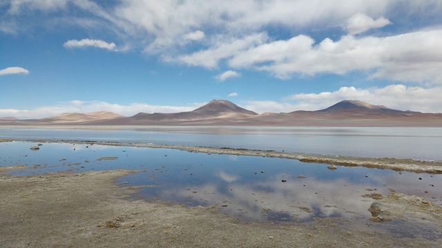 Lagune - Salar d'Uyuni et Sud-Lipez - Bolivie